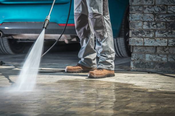 Animal Enclosure Cleaning in Newton, IL