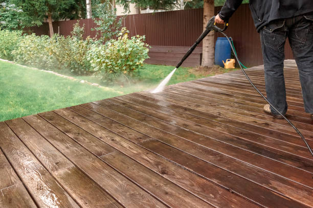 Best House Exterior Washing  in Newton, IL