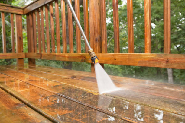 Best Building Exterior Washing  in Newton, IL